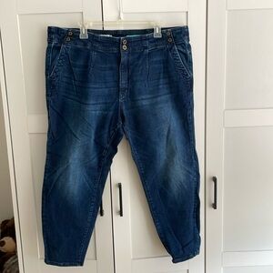 Anthropologie Pilcro high rise skinny jeans